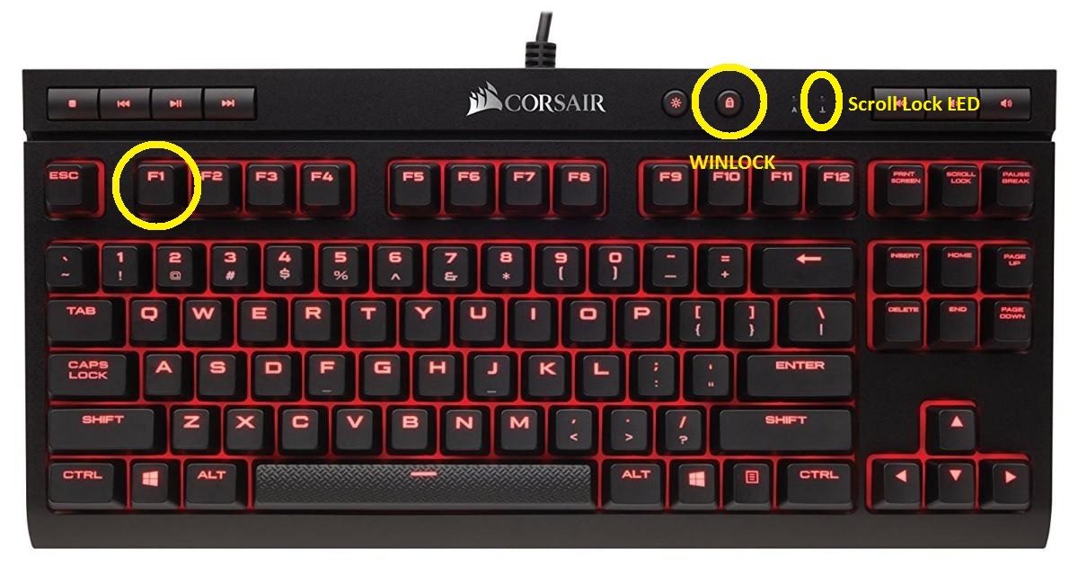 corsair k55 on ps4